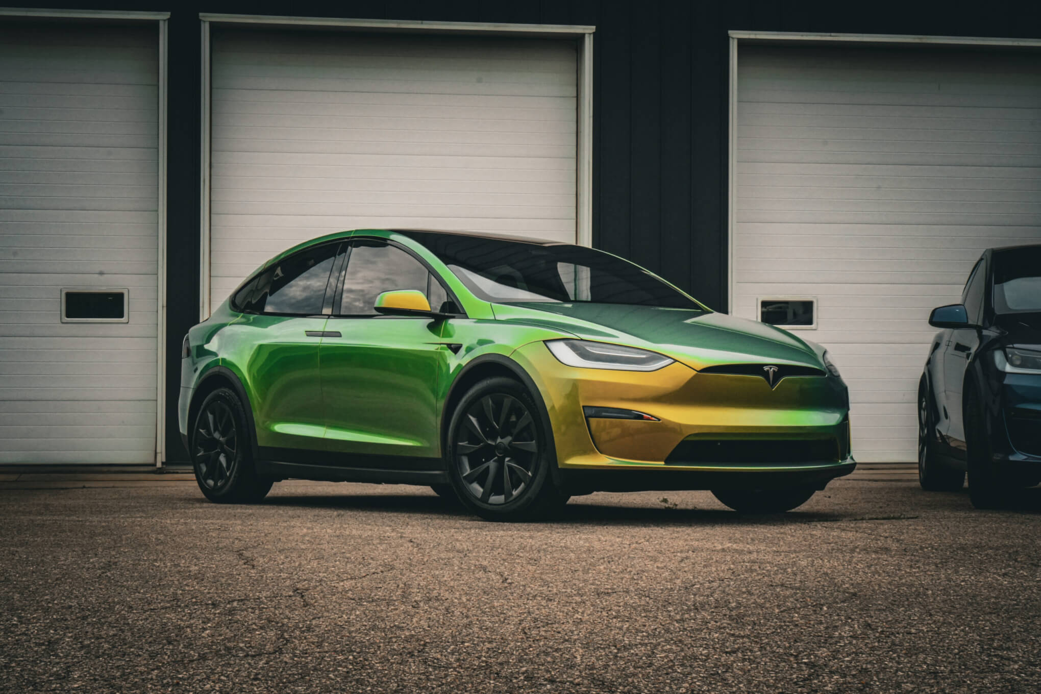 STEK DYNO Shift Green Gloss Paint Protection Film (PPF)